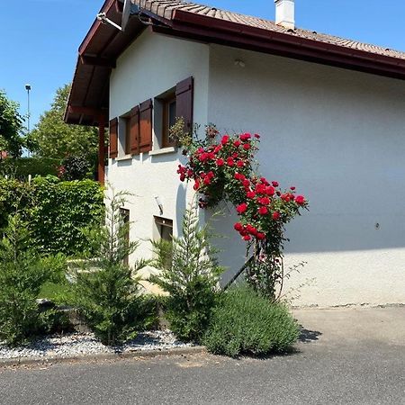 Ferienwohnung Chez Patrick Et Dominique Saint-Pierre-en-Faucigny Exterior foto
